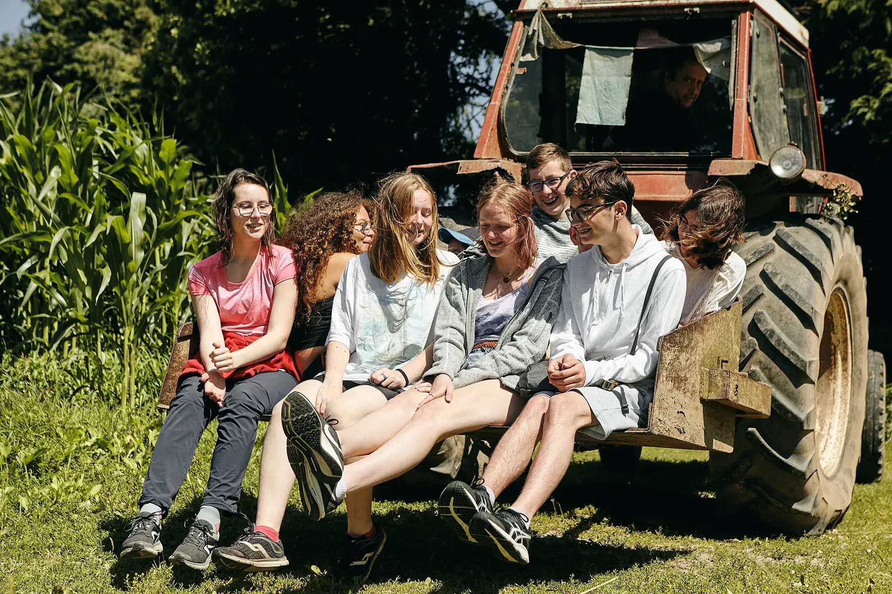 Éveil à l'écologie : jeunes en colonie CCAS découvrant le monde agricole.